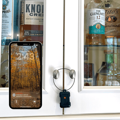 Kini SafeAlert - Wi - Fi Tamper Alert Device with Real - Time SMS, Email & Push Notifications - Kinisium LLC