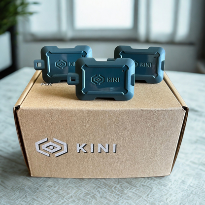 Three Gun Metal Gray Kinis sitting on top of a Kini Box.